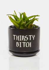 Thirst Trap Plant Pot