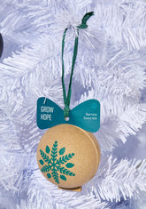 Spruce Ornament Seed Kit