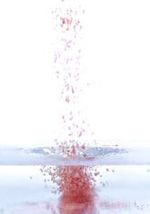 Coconut + Hibiscus Bath Soak