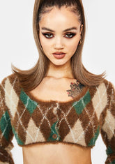 Lifetime Of Knowledge Argyle Sweater