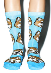 Shiba Inu Socks