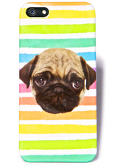 Rainbow Pug iPhone 5 Case