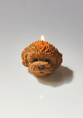 Honey Brown Wauwau Poodle Candle