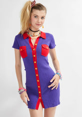 Picture Perfect Mini Sweater Dress