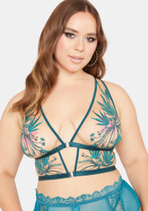 Plus Brooklyn Haze Bralette