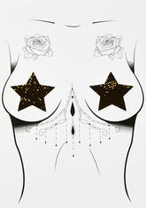 DK X Neva Nude Holo Mesh Star Pasties
