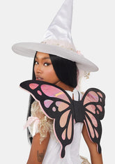 Iridescent Butterfly Wings