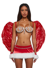 Supermodel Angel Costume