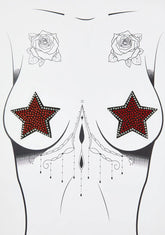 Rhinestone Embellished Star Pasties
