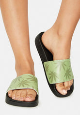 Green Plantlife Graphic Slides