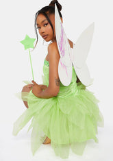 Iridescent Fairy Wings