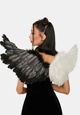 Night And Day Feather Wings