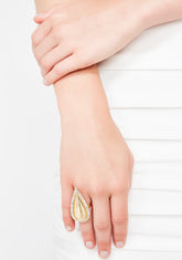 Money In The Bank Ring