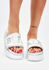 Silver Radiance Slides