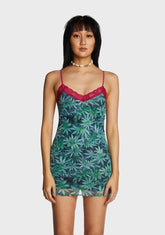 Weed Lace Trim Dress