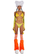 Festival Fowl Costume Set