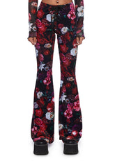 Creative Visions Velvet Flares