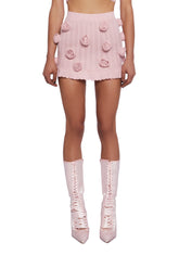 Romantic Ideals Mini Skirt