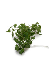 Twinkle Glow String Lights