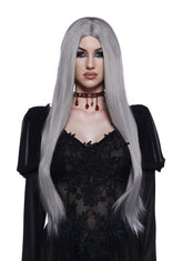 Straight Wig With Center Part - Gray