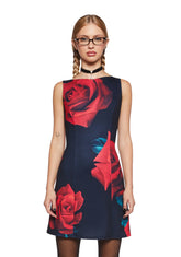 Rose Colored Vision Mini Dress