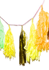 Jewel Tone Rainbow Tassel Banner