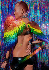 Guardian Angel Wings Harness