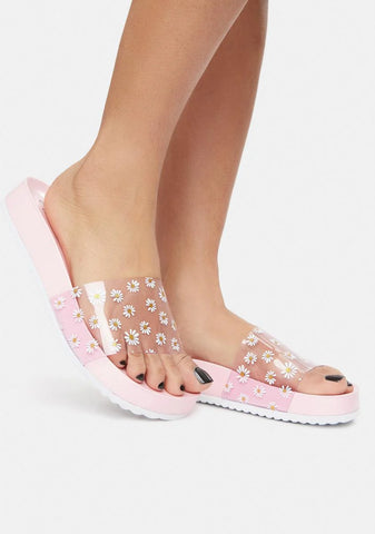 Bubblegum Off The Daisy Chain Slides
