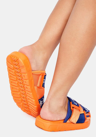 Orange 222 Banda Mitel 1 Slides