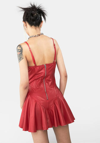 Spicy Maximized Pleasure Mini Dress