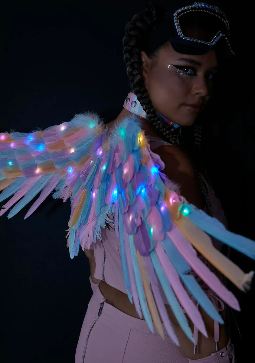 Had A Blast Light Up Wings