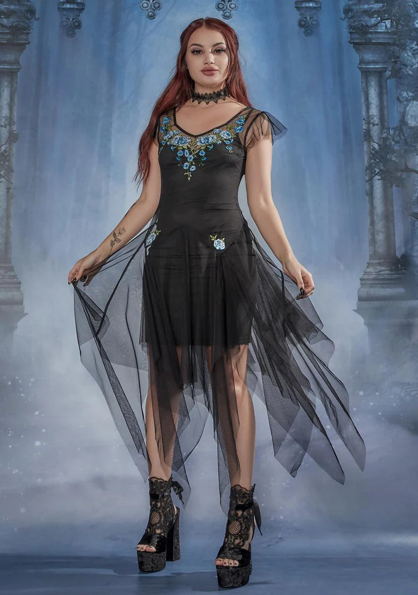 Love Potioned Sheer Embroidered Dress