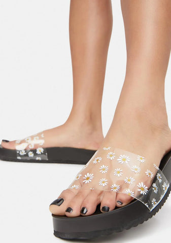 Off The Daisy Chain Slides