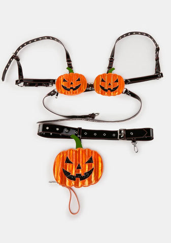 A Grin That Glows Storage Harness Set