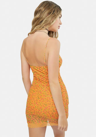 Summer Sun Mesh Coti Mini Dress