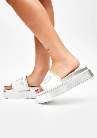 Silver Radiance Slides