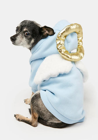 Heaven's Cheerleader Pet Hoodie