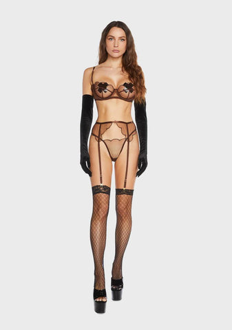 Sheer Truth Lingerie Set