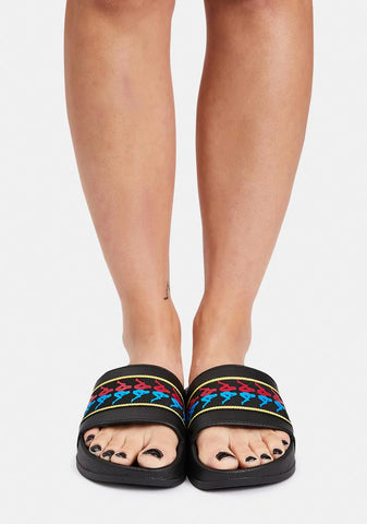 Authentic Adam 14 Slides