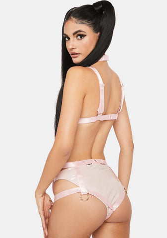 Blush Harness Set