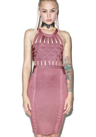 Rose Bound Bodycon Dress
