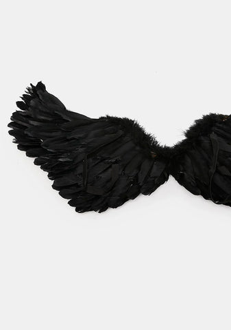 Onyx Night And Day Feather Wings
