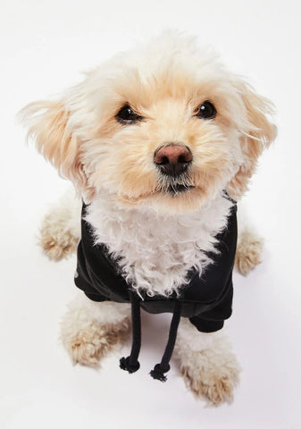 Throw Me A Bone Pet Hoodie