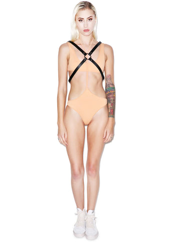 O Snap O Ring Harness