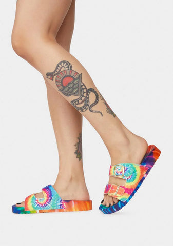 Rainbow Sideline Stare Slides