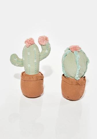 Cactus Pot Shelf Sitter Set