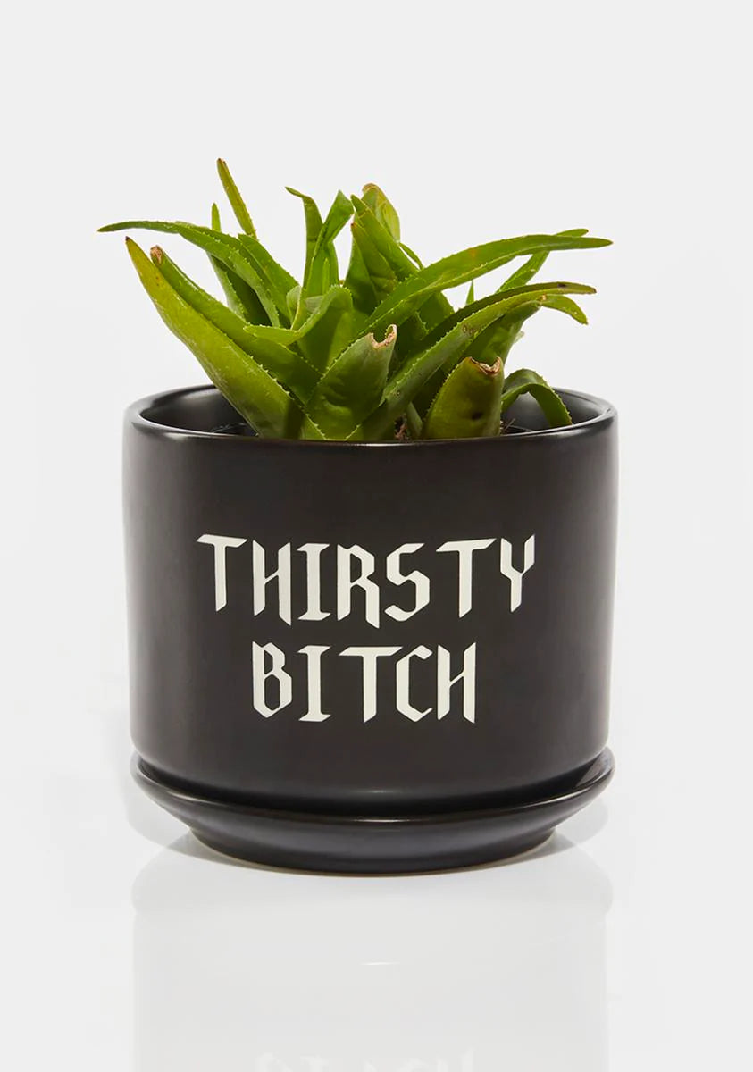 Thirst Trap Plant Pot