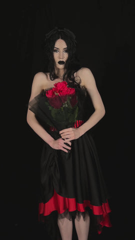 Romancing Helena Costume Set