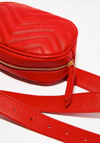 Backstage Pass Belt Bag