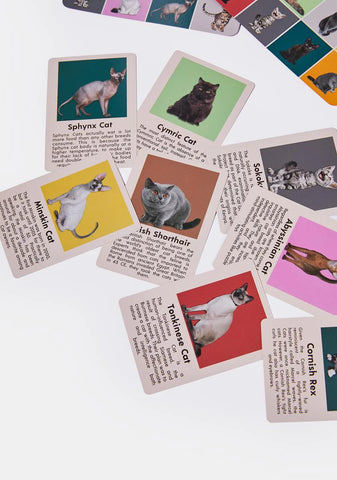 Cat Bingo Card Game